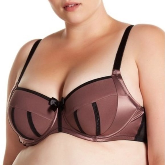 The Charlotte Padded 3 Part Cup Brain Woodrose 44E - Picture 2 of 8